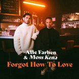 Alle Farben & Moss Kena - Forgot How To Love (Extended Mix)