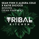 Sean Finn, Alegra Cole, Katie DiCicco - Missing (Sean Finn Mix)