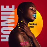 Homie (RO) - Wanting More (Original Mix)