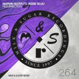 Marvin Aloys feat. Jesse Bluu - Resurrection (Milk & Sugar Extended Remix)