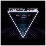 Domi Depulse - Levels (Original Mix)