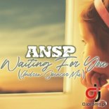 ANSP - Waiting For You (Andrew Spencer Extended Mix)