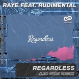 Raye feat. Rudimental - Regardless (Leo Burn Radio Edit)
