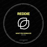 Reddie - What You Gonna Do (Original Mix)