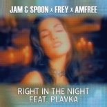Jam & Spoon x Frey x Amfree feat. Plavka - Right in the Night (Extended)