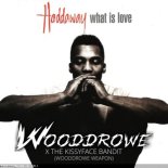 Haddaway - What Is Love (Wooddrowe & The Kissyface Bandit Remix)