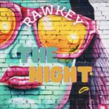Rawkey - The Night (Original Mix)