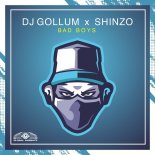 Dj Gollum & Shinzo - Bad Boys