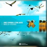 James Dymond & Stine Grove  -  Birds Of A Feather (Original Mix)