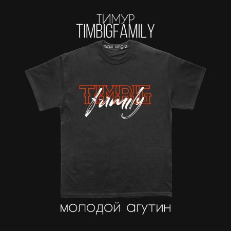 Тимур TIMBIGFAMILY - Молодой Агутин (Dj INVITED Remix)