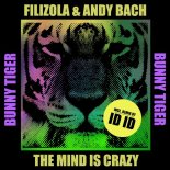 Filizola & Andy Bach - The Mind Is Crazy (ID ID Remix)