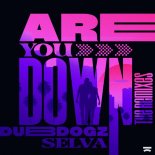 Dubdogz & Selva - Are You Down (Gustavo Mota & Evoxx Extended Remix)
