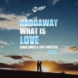 Haddaway - What Is Love (Jenia Smile & Ser Twister Extended Remix)