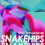 Snakehips Feat. Tinashe - Who's Gonna Love You Tonight (TELYKast Remix)