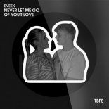 Eveek - Never Let Me Go Of Your Love (Extended Mix)