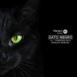 Jay Perlestein - Gato Negro (Papazov Abracadabra Remix)