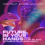 Sam Feldt & David Solomon Feat. Aloe Blacc - Future In Your Hands (Futuristic Polar Bears Remix)