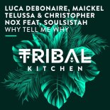 Luca Debonaire, Maickel Telussa, Christopher Nox feat. Soulsistah - Why Tell Me Why (Extended Mix)