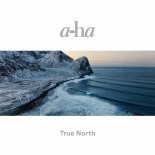 A-Ha - Forest For The Trees