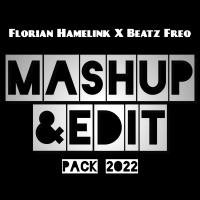 Avicii vs. Dzeko & Torres Ft. Delaney Jane  - Levels vs. L'amour Toujours  (Florian Hamelink Mashup)