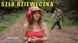 HiT SANOK - Szła Dzieweczka 2022