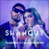 SHANGUY - Lava (Vladislav K & DALmusic Radio Mix)