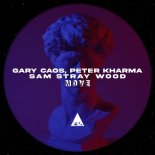 Gary Caos, Peter Kharma, Sam Stray Wood - Move (Original Mix)