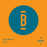 Gadi Mitrani - Gone (Original Mix)