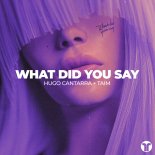 Hugo Cantarra & Taim - What Did You Say