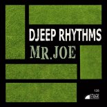 Djeep Rhythms - Mr.Joe (Original Mix)