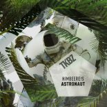 HimbeerE!s - Astronaut (Extended Mix)