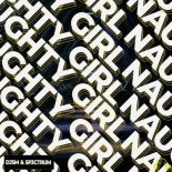 DJSM & SP3CTRUM ft. Milan Gavris - Naughty Girl (Extended Mix)