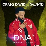 Galantis & Craig David - DNA (Sam Feldt Extended Remix)