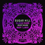 Sugar Hill, Ricky Valens feat. Ricky Valens - Black case (M0B Remix)