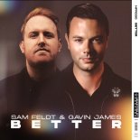 Sam Feldt & Gavin James - Better (Thomas Nan Extended Remix)