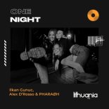 Ilkan Gunuc feat. Alex Drosso x Pharaoh - One Night (Radio Edit)