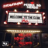 Pegboard Nerds & Stonebank - Welcome to the Club (More Plastic Remix)