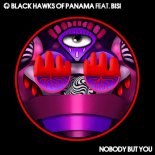 Black Hawks of Panama  feat. Bisi - Nobody But You (Sidney Charles Remix)