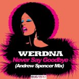 WERDNA - Never Say Goodbye (Andrew Spencer Extended Mix)