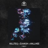 Killteq & D.Hash feat. Vallhee - I Like It