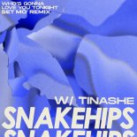 Snakehips Feat. Tinashe - Who's Gonna Love You Tonight (Set Mo Remix)