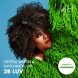 Crystal Waters & David Anthony - 2B Luv Part 2 (Housewerq Radio Cut)