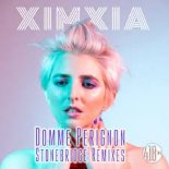 Ximxia - Domme Perignon (StoneBridge Anthem Mix)