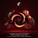Alejandro Molinari & Joy Tyson feat. Leo Sagrado - Perfect Stranger (Rafael Cerato Remix)