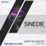 Space Tune - Night Bloom (Original Mix)