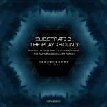 Substrate C - Icarus (Original Mix)