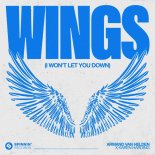 Armand Van Helden & Karen Harding - Wings (I Won't Let You Down)