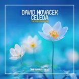 David Novacek feat. Celeda - The Underground (Extended Mix)