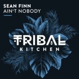 Sean Finn - Ain't Nobody (Extended Mix)