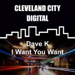 Dave K (UK) - I Want You Want (Original Mix)